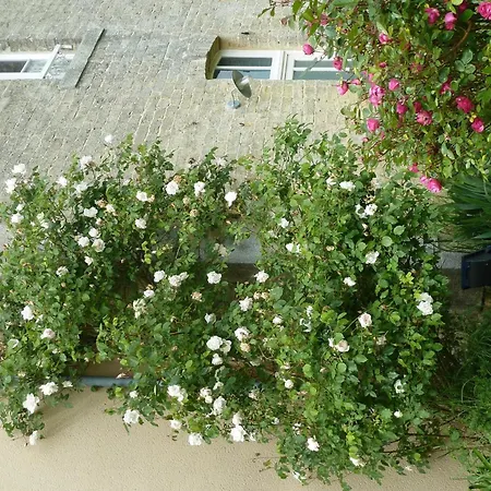 Bed & Breakfast L'atelier Du Presbytere